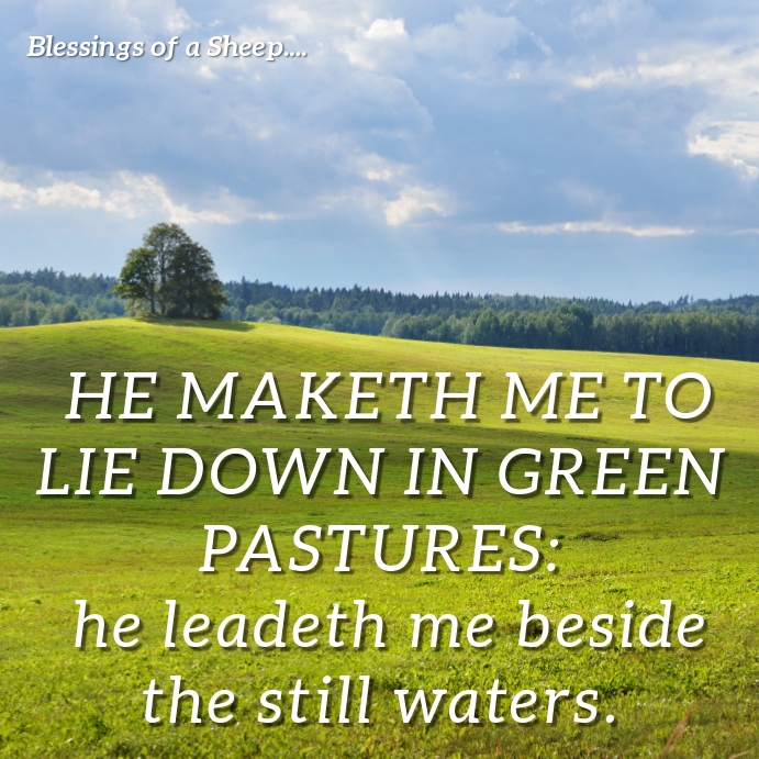 Copy of Psalm 232Rest in Choice Green Pastures PosterMyWall