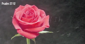 Psalm 27:12 bible quote verse facebook video template