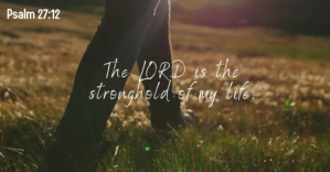 Psalm 27:12 bible quote verse facebook video template