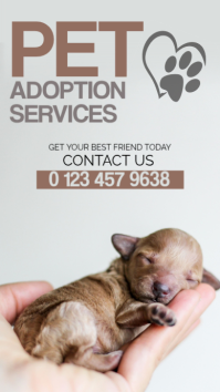 白色 Pet Adoption Digital Display Template