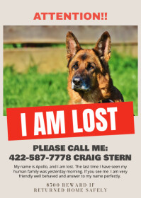 pt1 white pet A6 template