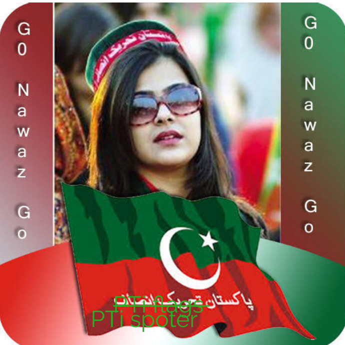 Pti Graphics Design PTI flags Template | PosterMyWall