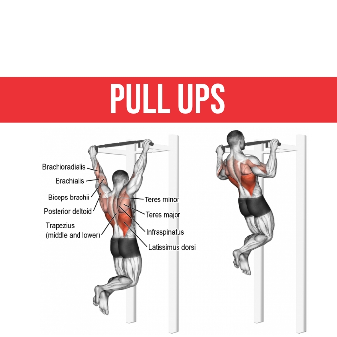 Pull ups Template | PosterMyWall