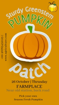 Pumpkin Patch Event Story Template Historia de Instagram