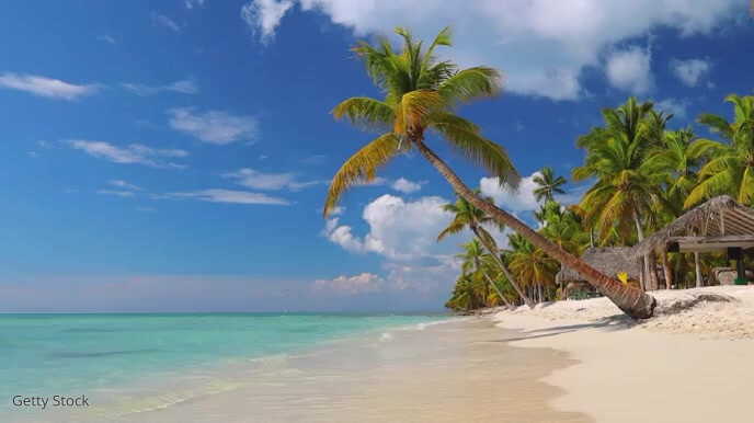 Tropical Zoom Virtual Background Video Presentatie (16:9) template