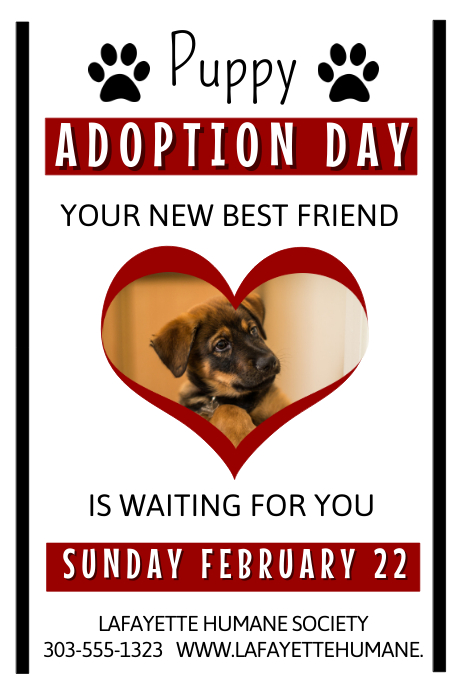 Dingo petrescue Copy of Adoption Event | PosterMyWall