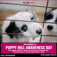 Grey Puppy Mill Awareness Instagram Post Template