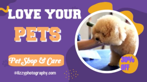 Purple and Yellow  Abstract Pet Care Video Digitale display (16:9) template