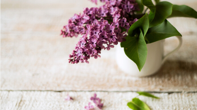 Purple Flower Zoom Meeting Background Template | PosterMyWall