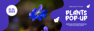 Ungu Purple Maksimalis Pur Tajuk Twitter Twitter-header Template