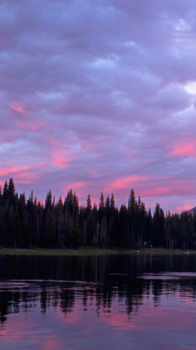 Copia De Purple Tiktok Frame Postermywall Copia De Purple Tiktok Frame Postermywall