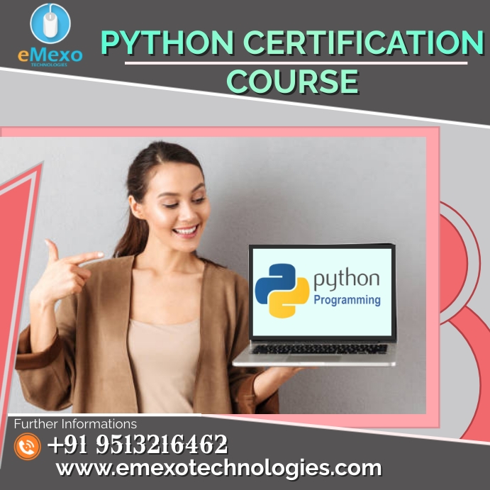 Copy of Python Training | PosterMyWall