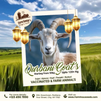 Qurbani Goats Sale Post Template