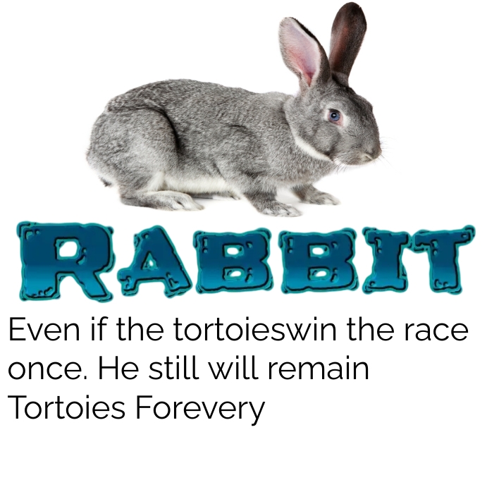 Plantilla de Conejo | PosterMyWall