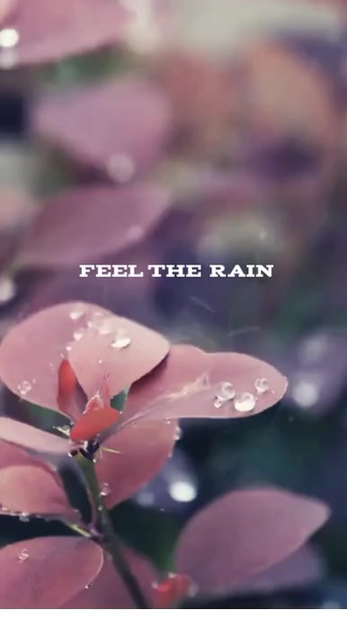 Rain Template | PosterMyWall