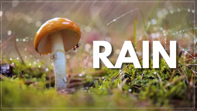 RAIN VEDIO YouTube Thumbnail template