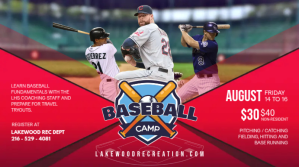 Red College Baseball Tournament Banner Digitalanzeige (16:9) template