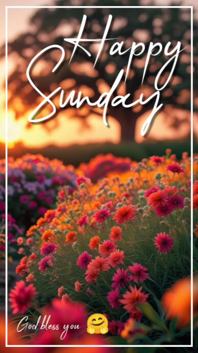 Red Floral Happy Sunday Instagram Story Instagram-verhaal template