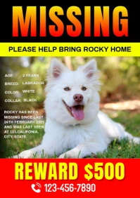 Red Joyful Missing Pet A4 template