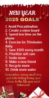 Red List-based New Year 2025 Goals Roll Up Banner 3' × 6' template