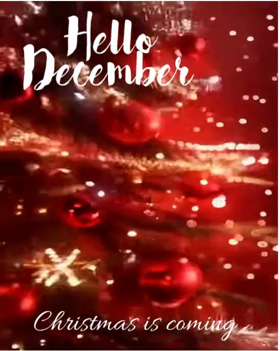 Red Maximalist Editable Hello December Message Video Template With Festive Design And Bold Winter He Instagram Portrait