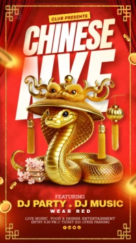 Red Chinese New Year Instagram Story template