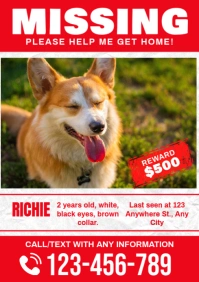 Red Modern & Minimal Missing Pet A3 template