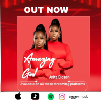 Red Modern & Minimal New Album Single Music Release Red Instagram Video Template  Instagram Post