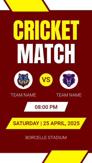 Red Modern & Minimal Cricket Match Instagram Story template