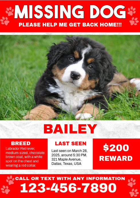 Red Modern & Minimal Missing Pet A4 template