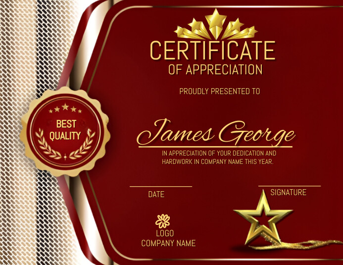 Red Professional Certificate Of Appreciation Pamflet (VSA Brief) template