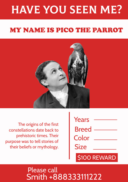 Red Professional Lost Bird A4 Template | PosterMyWall