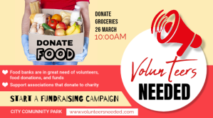 Red Professional Volunteers Needed Digital Display (16:9) template