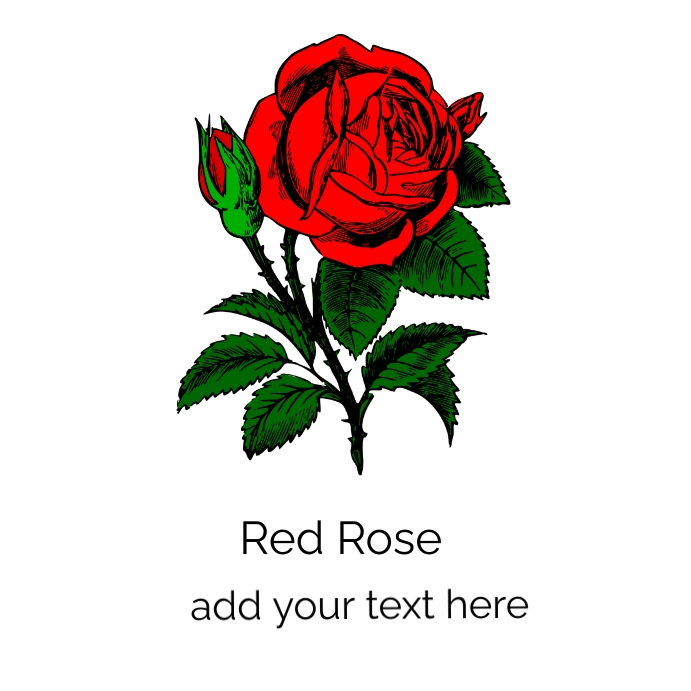 Red Roses Header Printable Red rose Template | PosterMyWall
