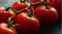 red tomato YouTube Thumbnail template