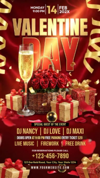 Red Valentine's Day Party Instagram Story Video template