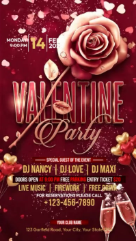 Red Valentine's Day Party Instagram Story Video template