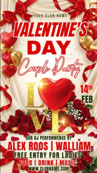 Red Valentine's Day Party Instagram Story Video template