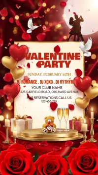 Red Valentine's Day Party Instagram Story Video template