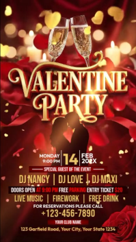 Red Valentine Party Instagram Story Video template