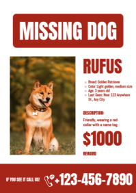 Red White Modern Missing Dog Poster A2 template