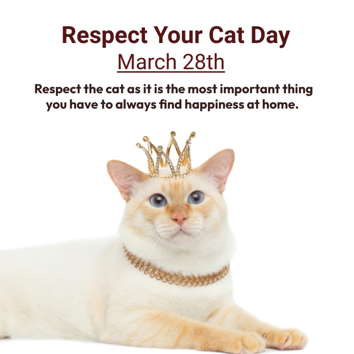 Copy of respect your cat day PosterMyWall