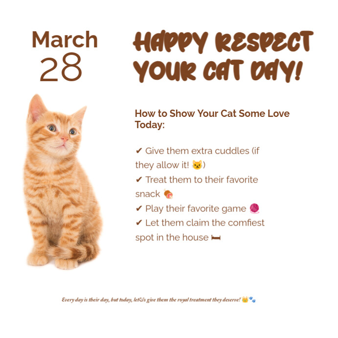 Respect your cat day Instagram Post template