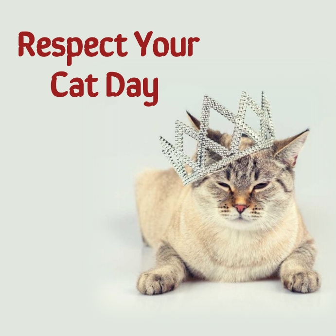 respect your cat day Сообщение Instagram template