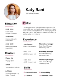 Resume, Curriculum Vitae (CV) For Jobs Flyer (US Letter) template