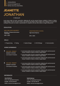 Resume A4 template