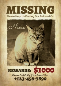 Retro Missing Cat Flyer A4 template