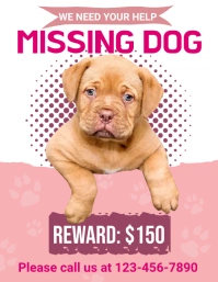 Rewarded Missing Dog Flyer template