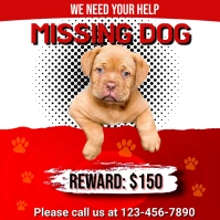 Rewarded Missing Dog Flyer Instagram Post template