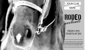 RODEO VIDEO TEMPLATE Digital Display (16:9)